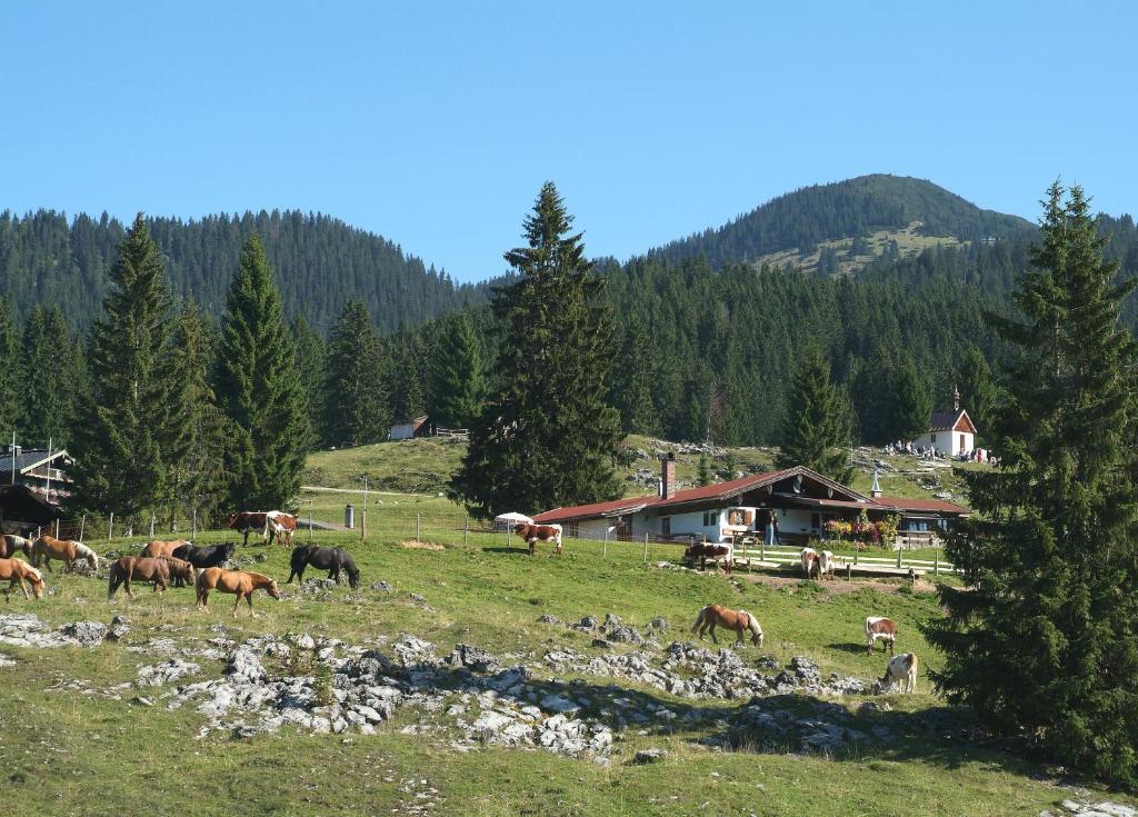 Gaestehaeuser Schwemmbauer Reit im Winkl Exterior foto